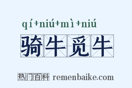 骑牛觅牛是什么意思的图片
